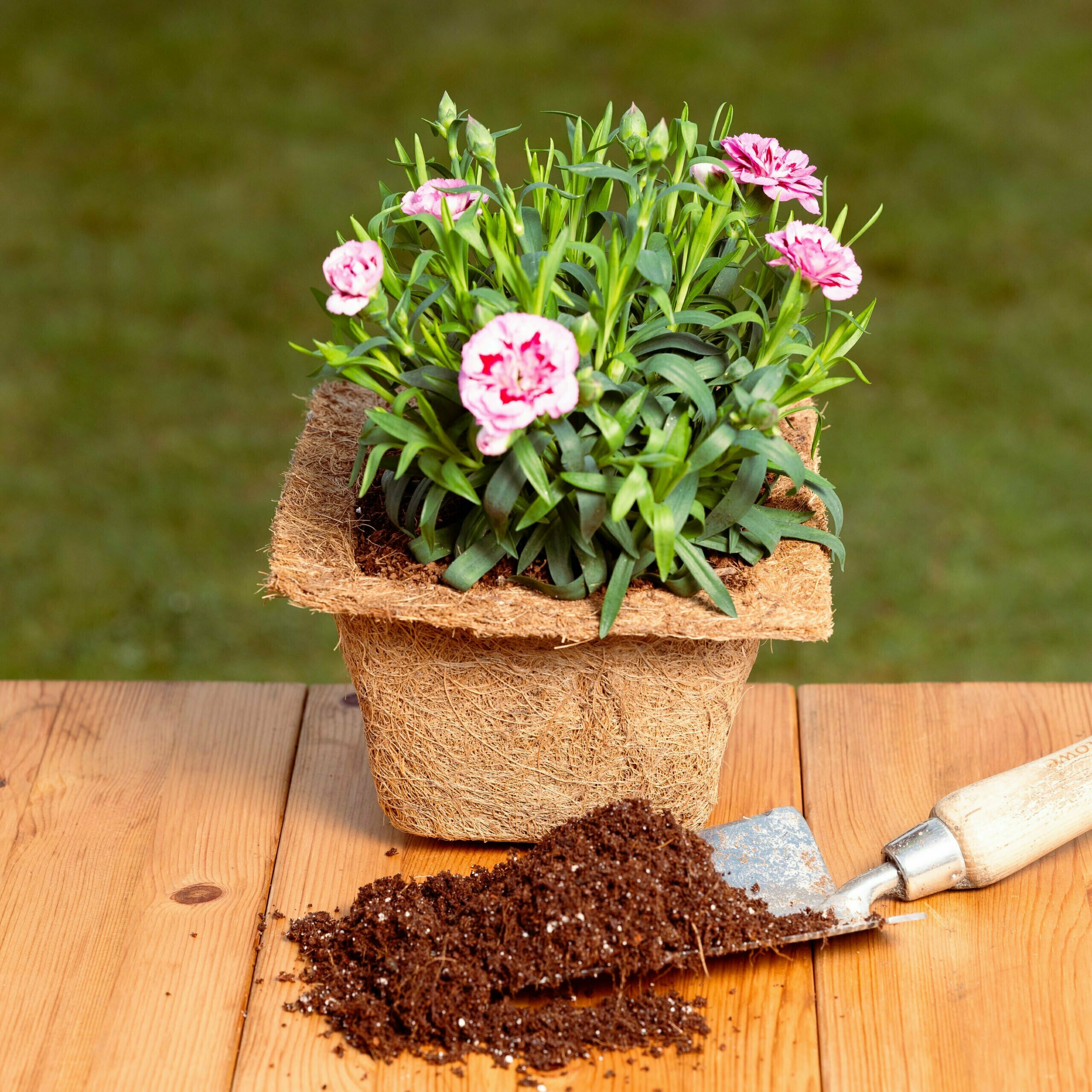 Biodegradable Coir Plant Pots (Square)