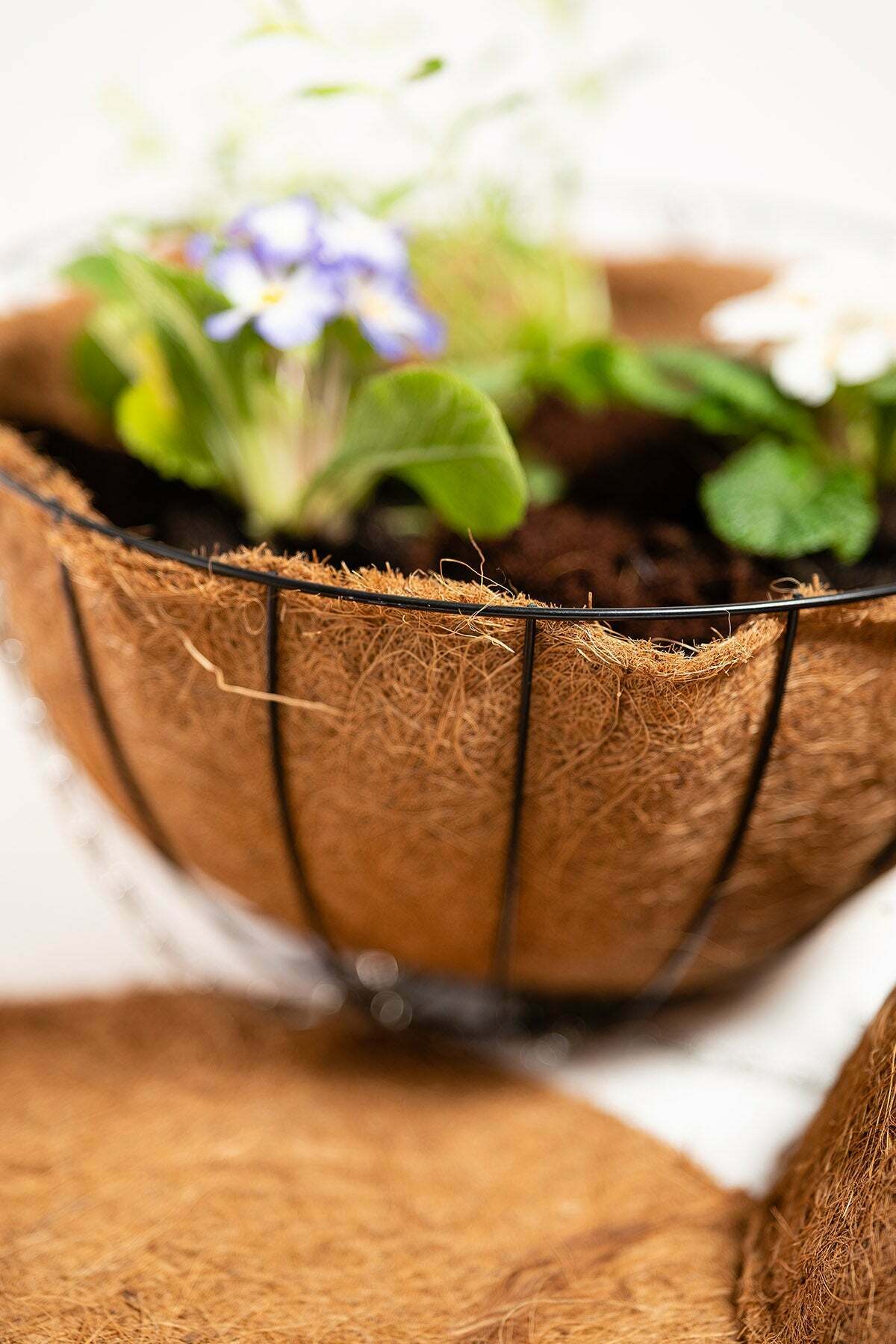 Coco Hanging Basket Liner