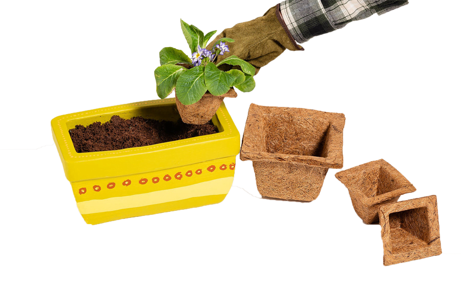 Biodegradable Coir Plant Pots (Square)